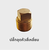 ปลั๊กอุด หัวสี่เหลี่ยม ทองเหลือง ข้อต่อ